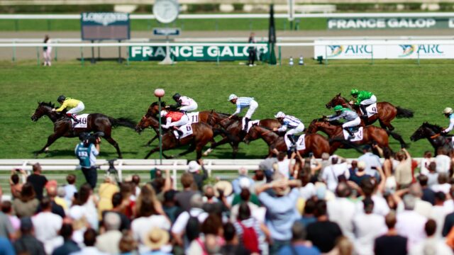 skysports-miss-attitude-deauville_6987498.jpg